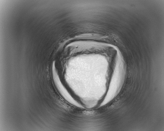 X0000066530457200604141844