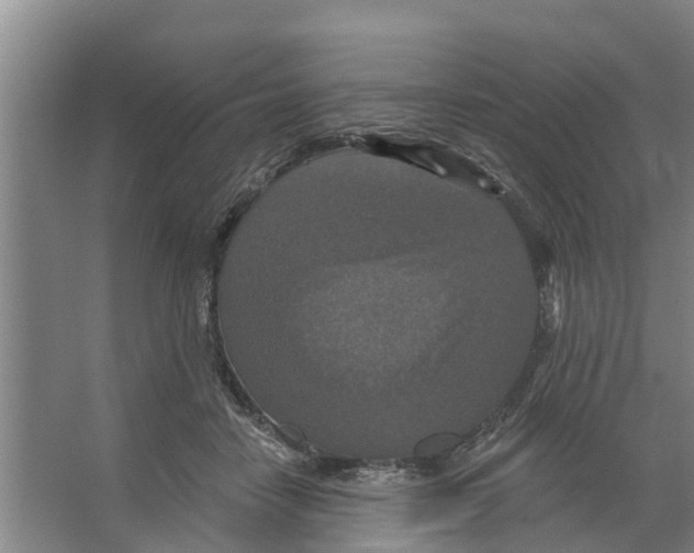 X0000066530458200604141844