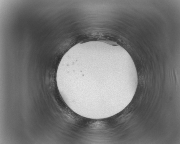 X0000066530460200604141844