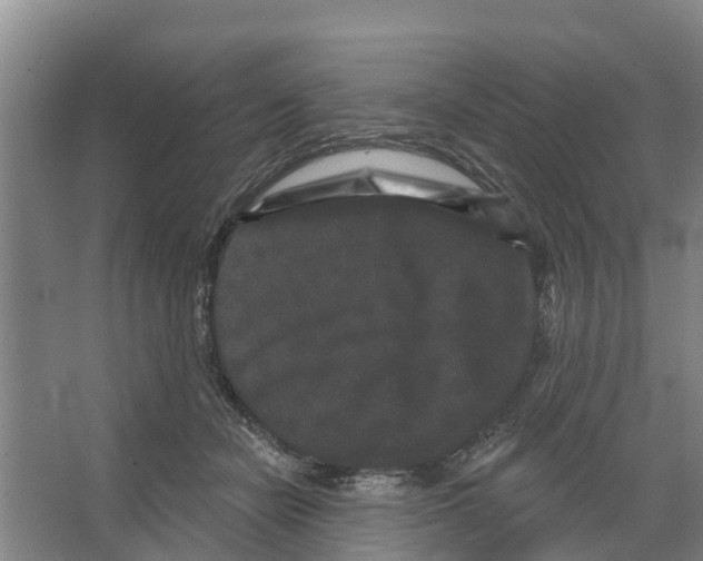 X0000066530462200604141844