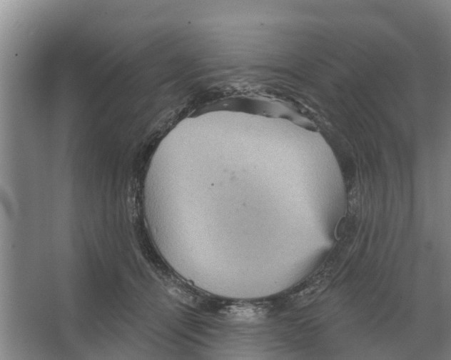 X0000066530464200604141844