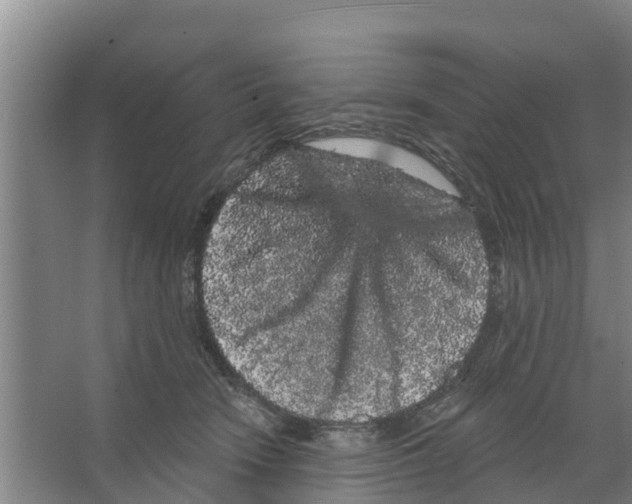 X0000066530466200604141844