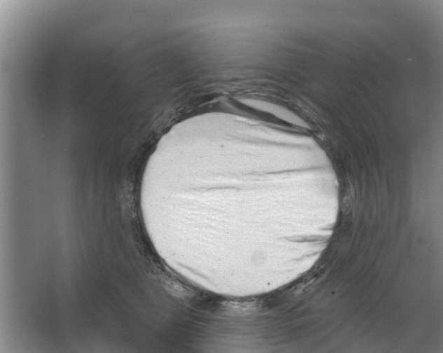 X0000066530469200604141844