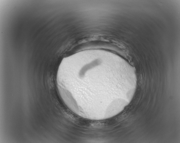 X0000066530470200604141844