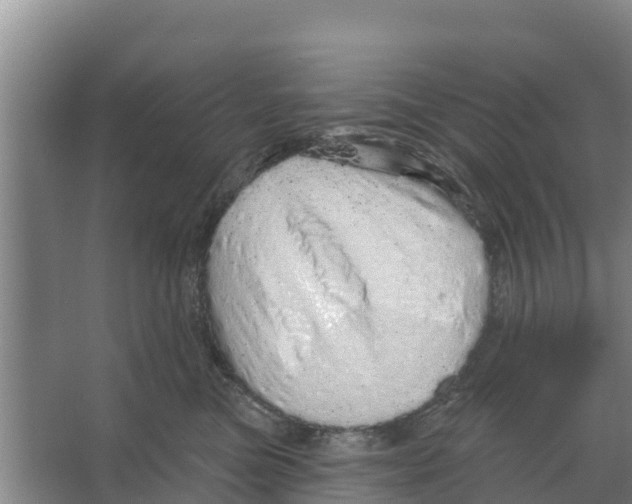 X0000066530473200604141844