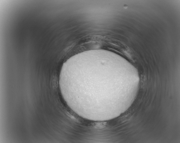 X0000066530474200604141844