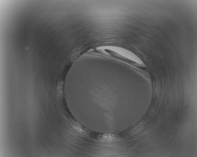 X0000066530475200604141844