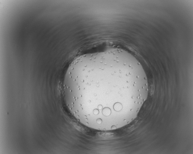 X0000066530476200604141844