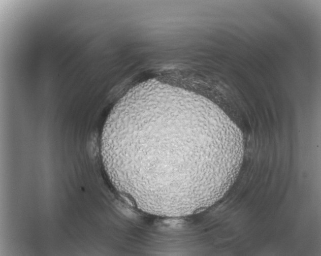 X0000066530478200604141844