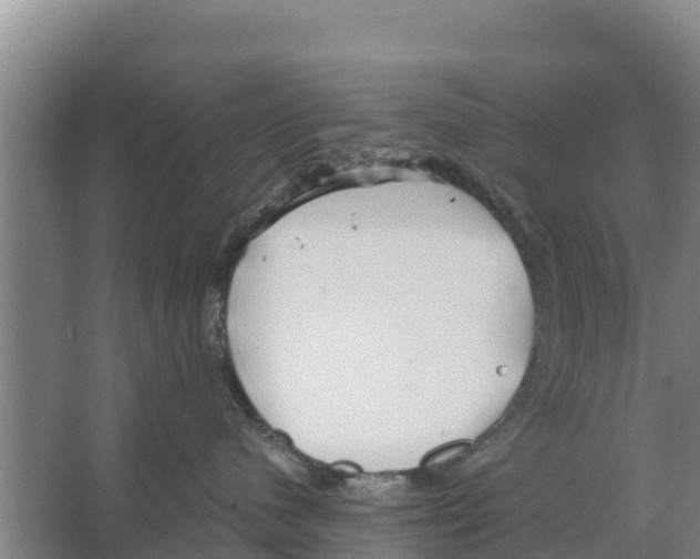 X0000066530480200604141844