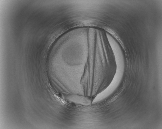 X0000066530481200604141843