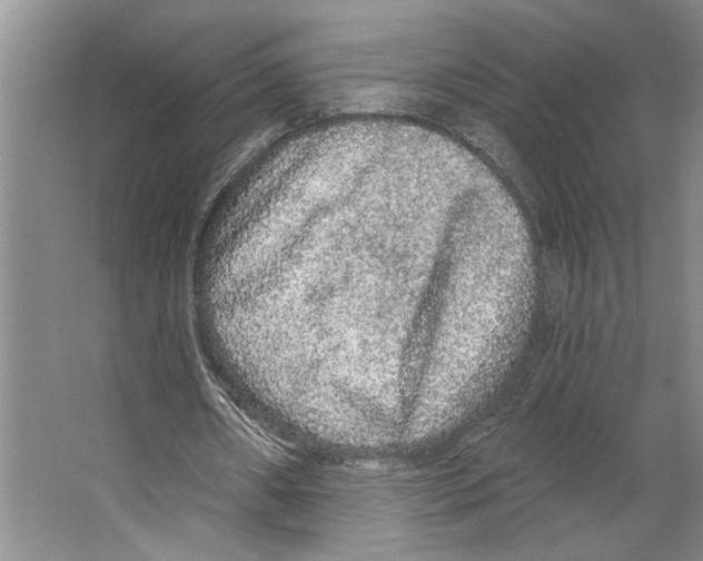 X0000066530482200604141843