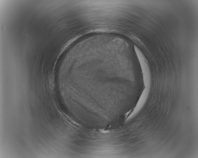 X0000066530484200604141843