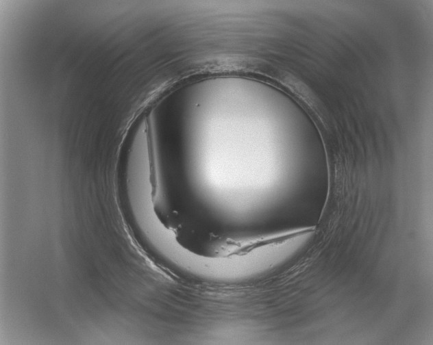 X0000066530485200604141843