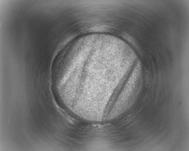 X0000066530486200604141843