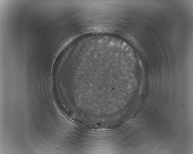 X0000066530488200604141843