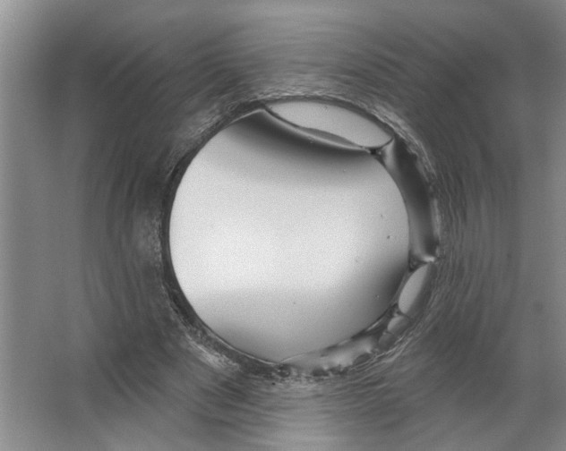 X0000066530489200604141843