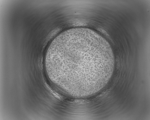 X0000066530490200604141843