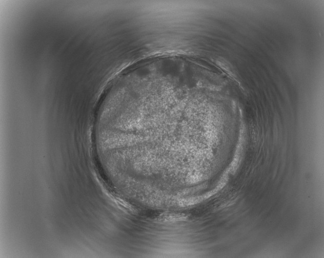 X0000066530491200604141843