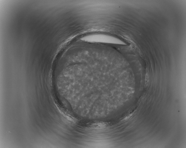 X0000066530492200604141843