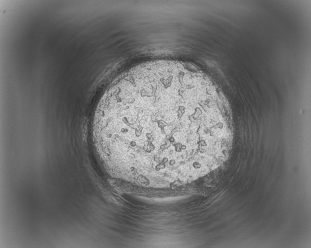 X0000066530495200604141843