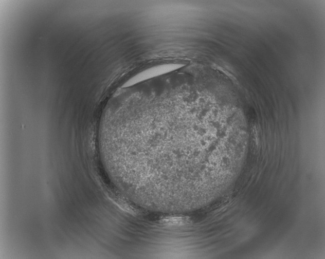 X0000066530499200604141843