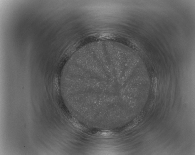 X0000066530506200604141843