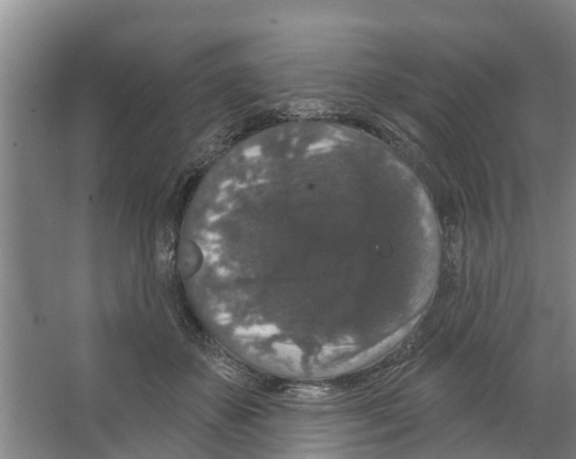 X0000066530507200604141843