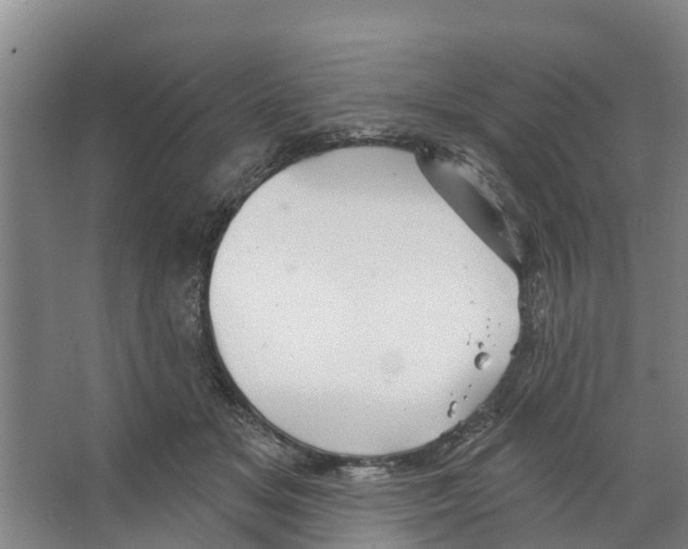 X0000066530509200604141843