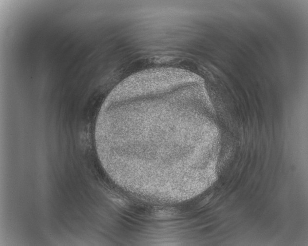 X0000066530510200604141843