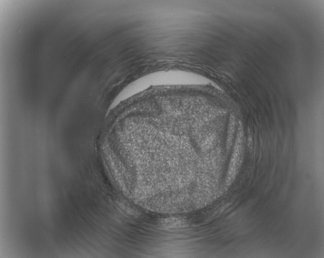 X0000066530511200604141843