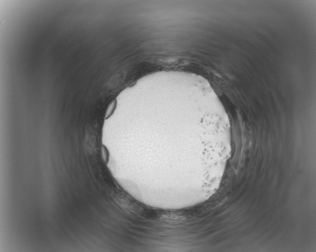 X0000066530515200604141843