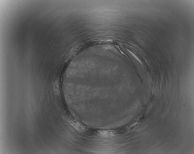 X0000066530520200604141843