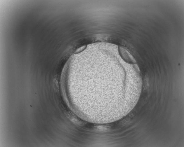 X0000066530522200604141843