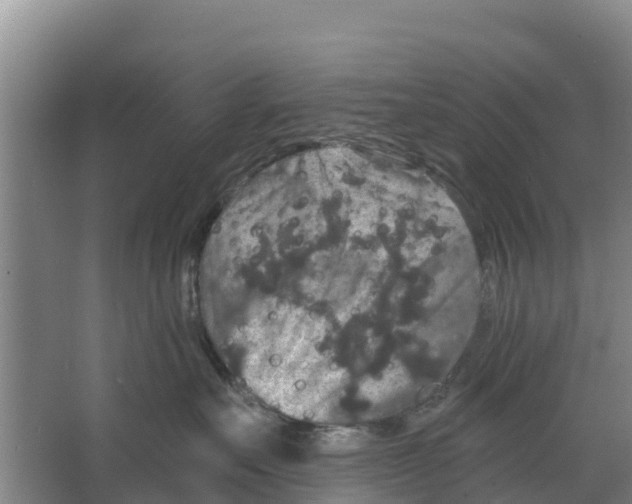 X0000066530527200604141843