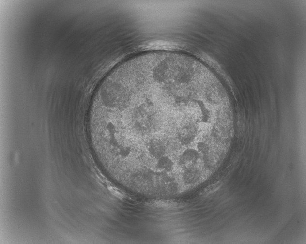 X0000066530529200604141842