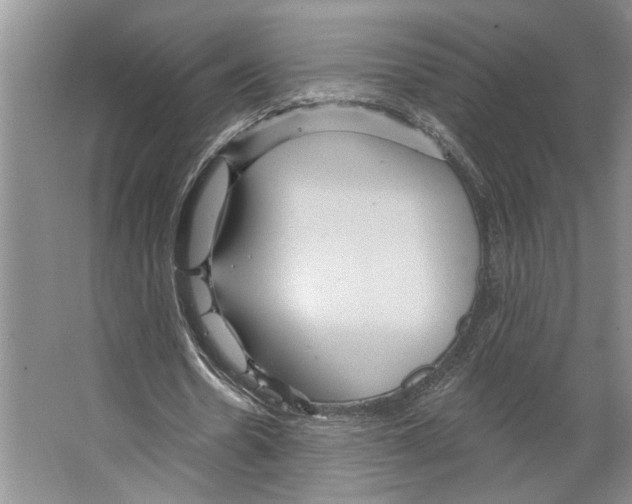 X0000066530530200604141842