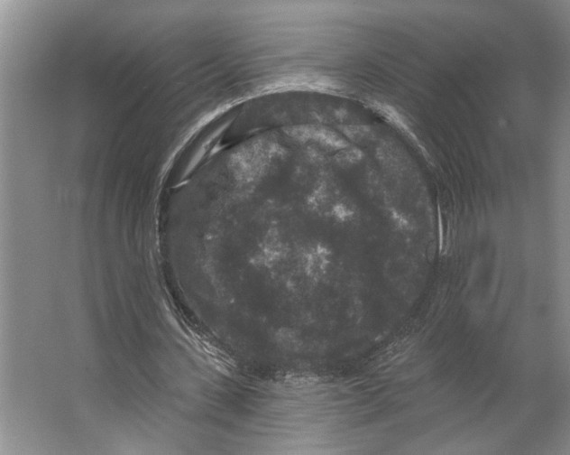 X0000066530531200604141842