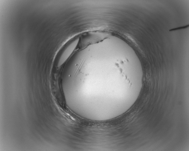 X0000066530532200604141842