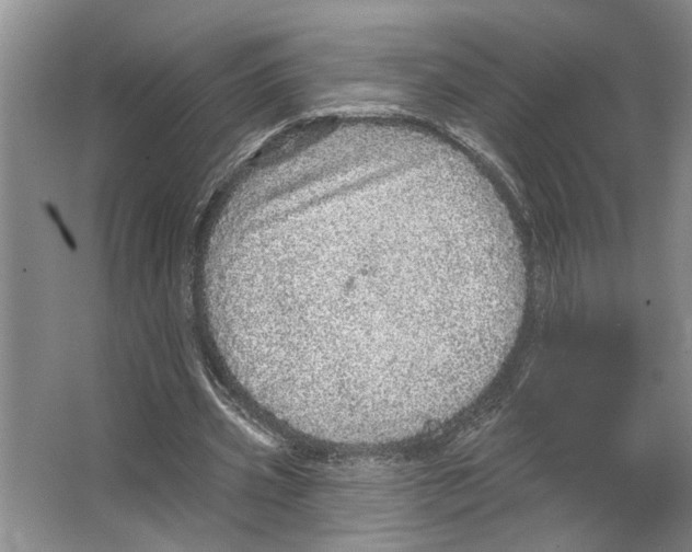 X0000066530533200604141842