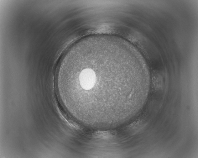 X0000066530534200604141842