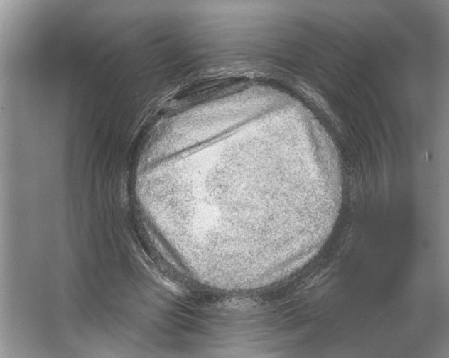 X0000066530537200604141842