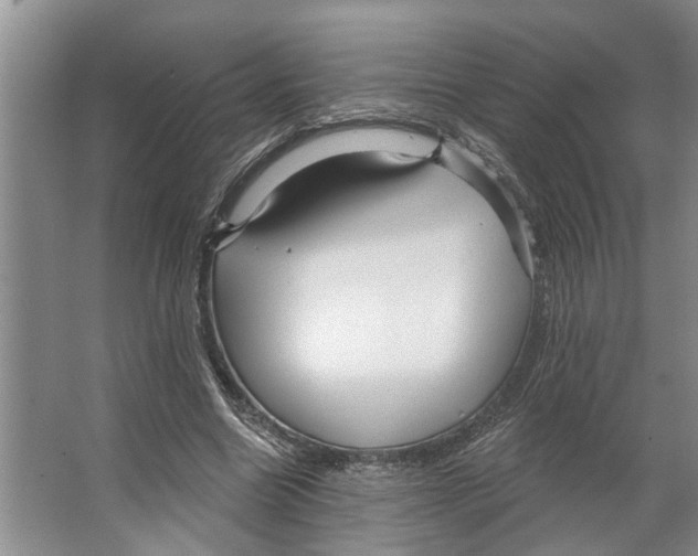 X0000066530538200604141842