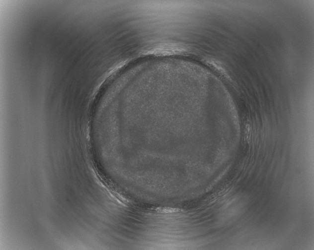 X0000066530539200604141842