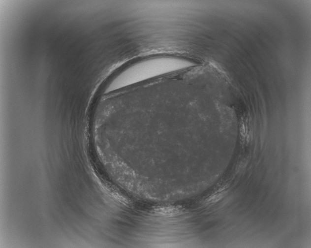 X0000066530540200604141842