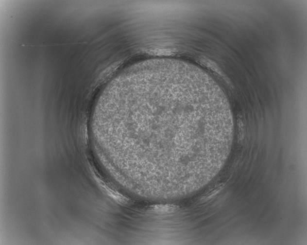 X0000066530541200604141842