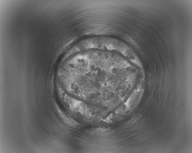 X0000066530542200604141842