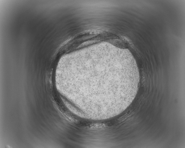 X0000066530543200604141842