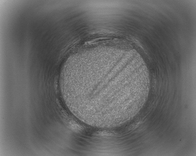 X0000066530545200604141842