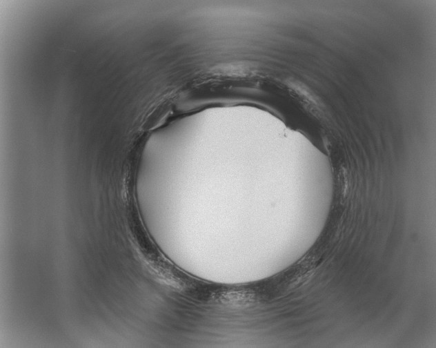 X0000066530546200604141842